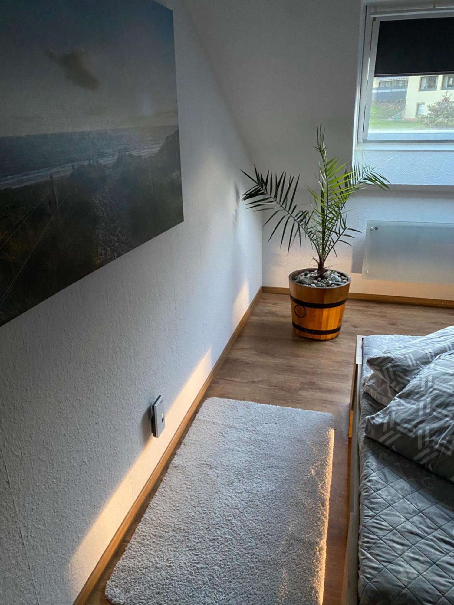 Fewo Skywalk Willingen Stryck Exterior foto