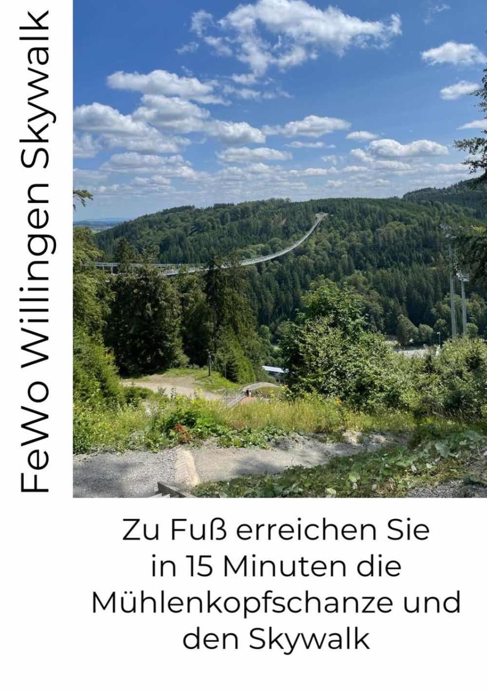 Fewo Skywalk Willingen Stryck Exterior foto