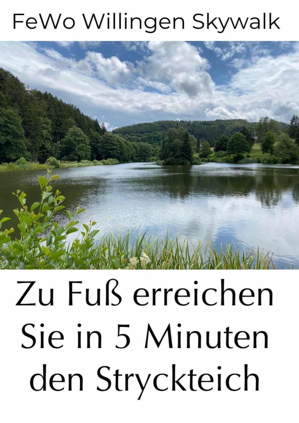 Fewo Skywalk Willingen Stryck Exterior foto